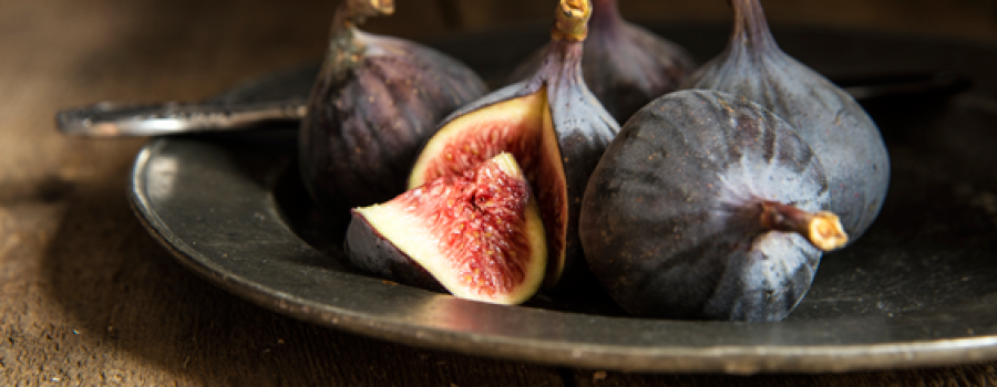 Fig Season